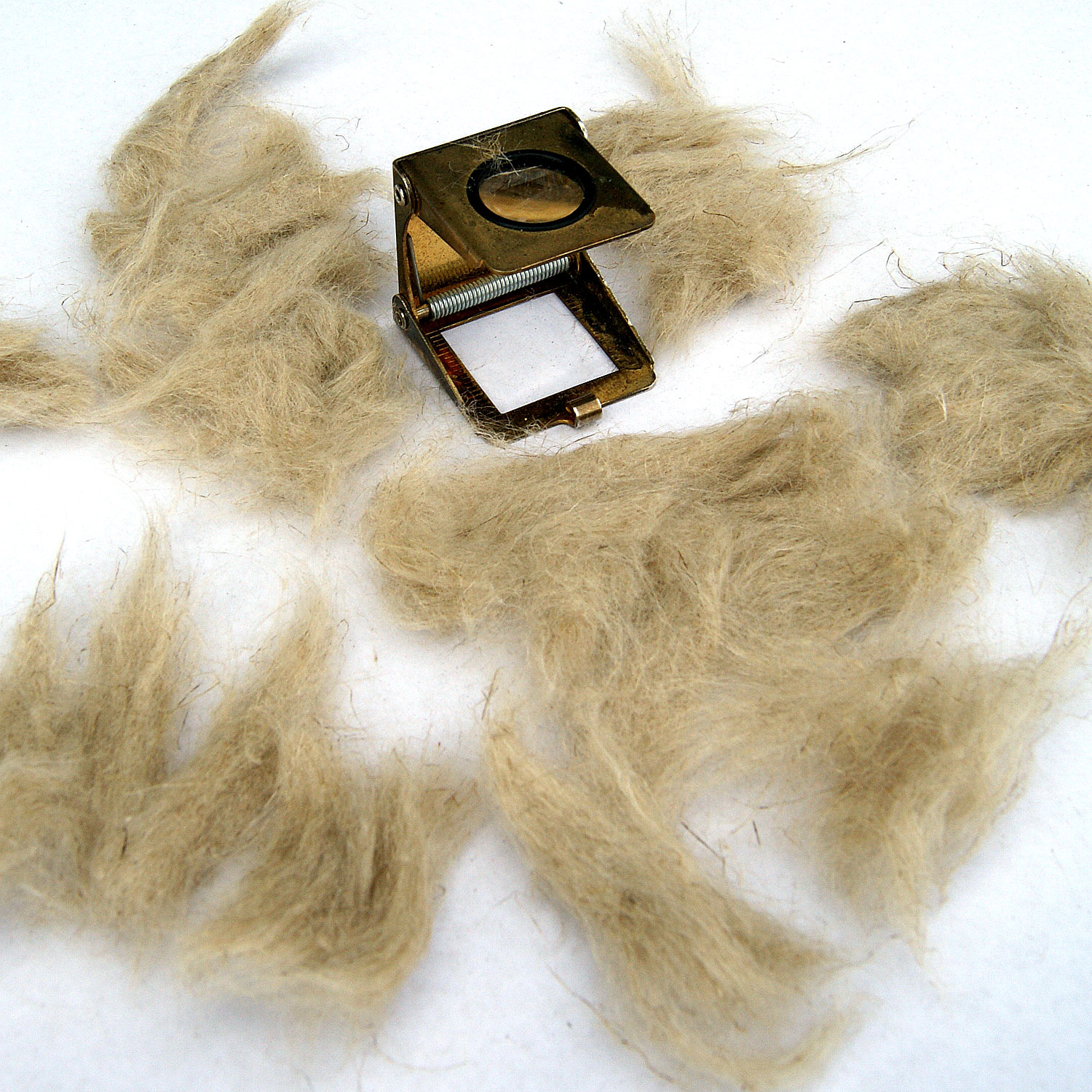 Flachs und Leinen | Flachsshop | Flachsfaser cotonisiert Tauröste sehr ...